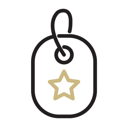 Icon of military dog tag with star.