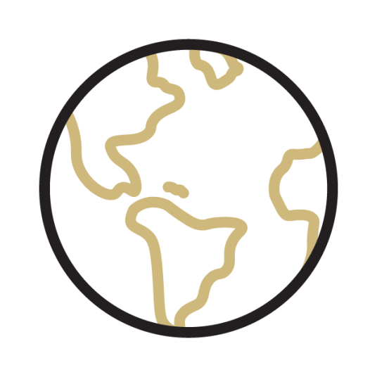 Icon of earth.